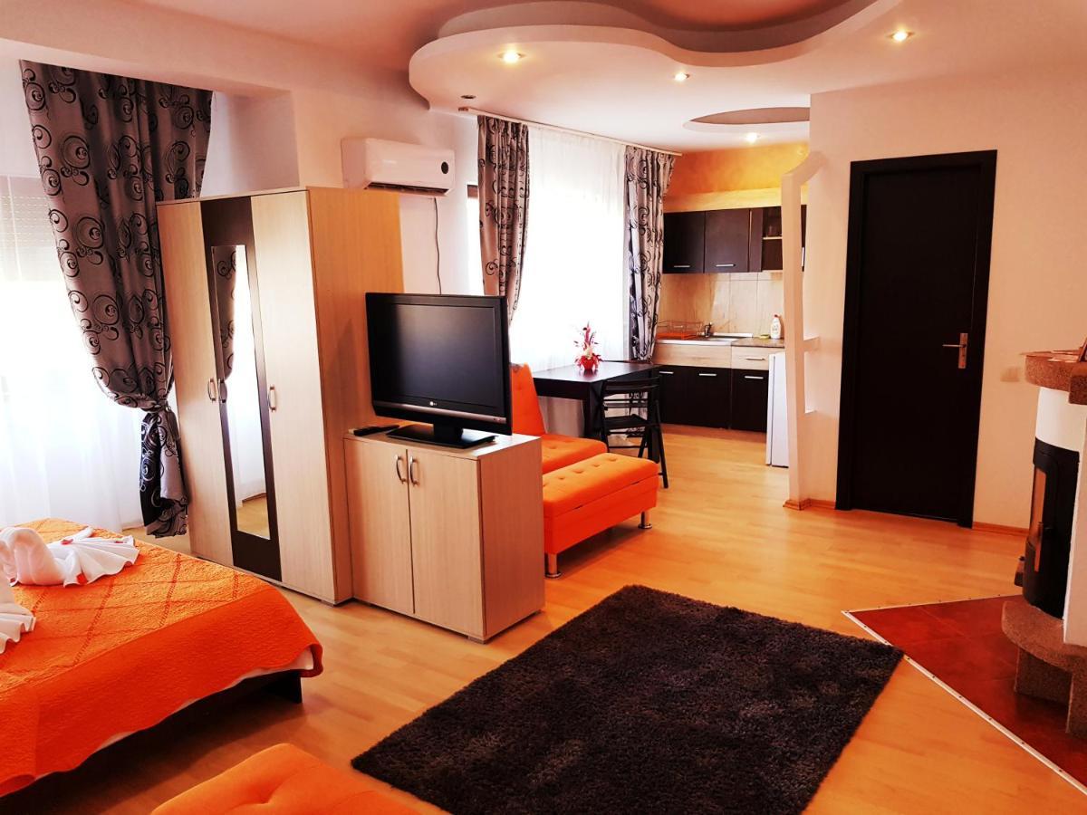 Pensiunea Red Rose Apartments Temesvár Kültér fotó