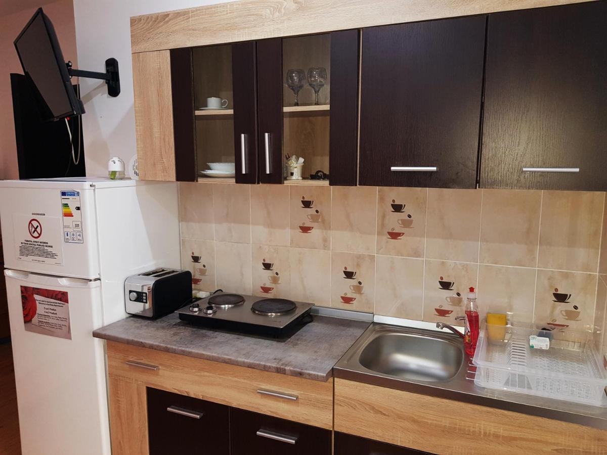 Pensiunea Red Rose Apartments Temesvár Kültér fotó