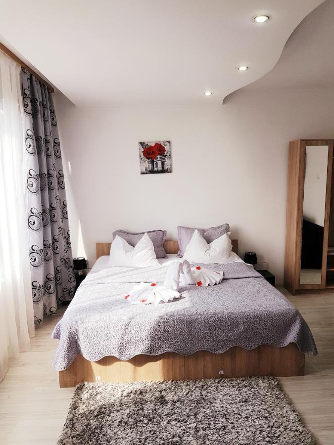 Pensiunea Red Rose Apartments Temesvár Kültér fotó