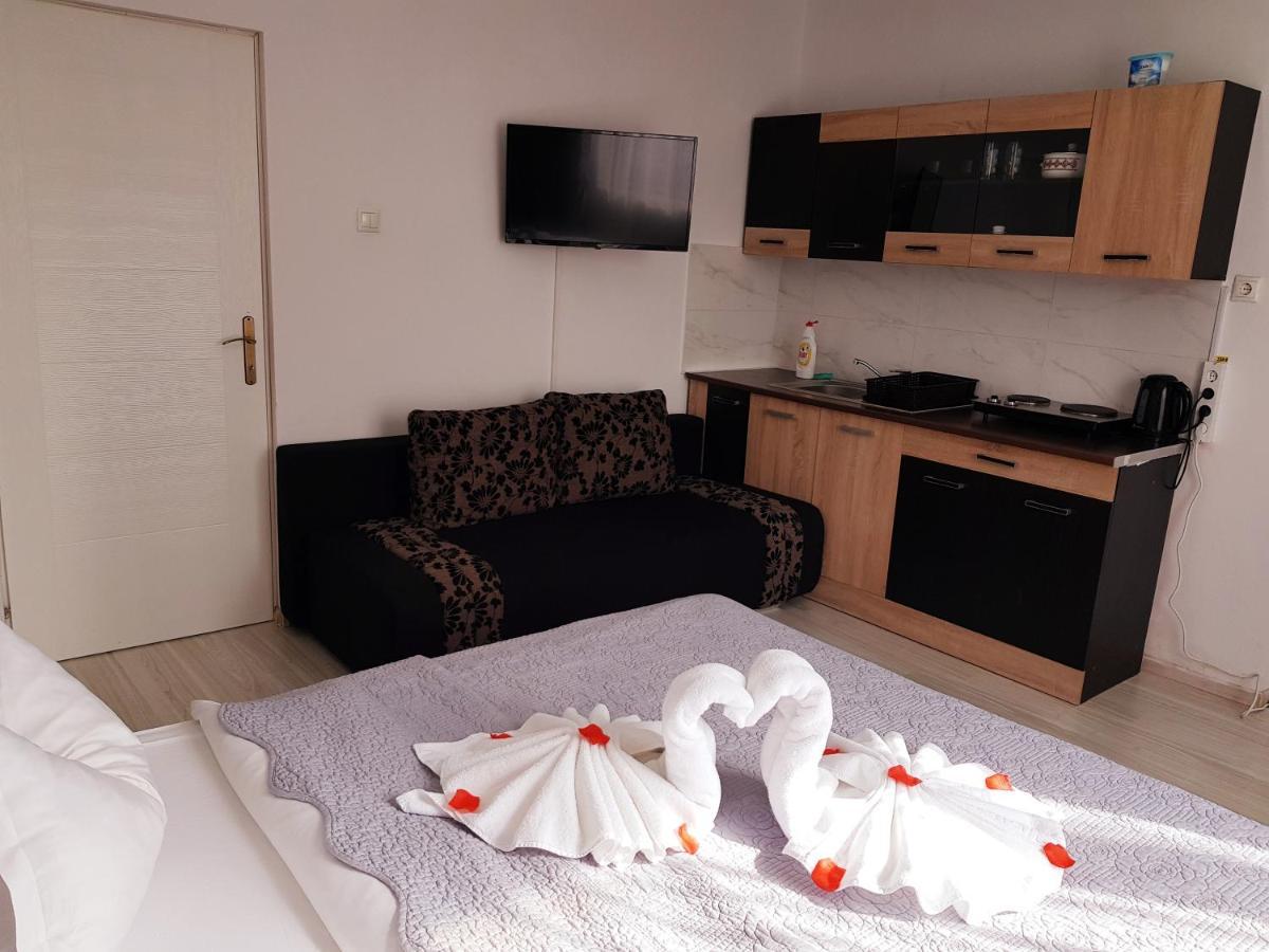 Pensiunea Red Rose Apartments Temesvár Kültér fotó