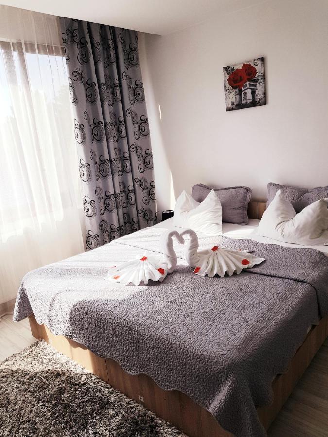 Pensiunea Red Rose Apartments Temesvár Kültér fotó