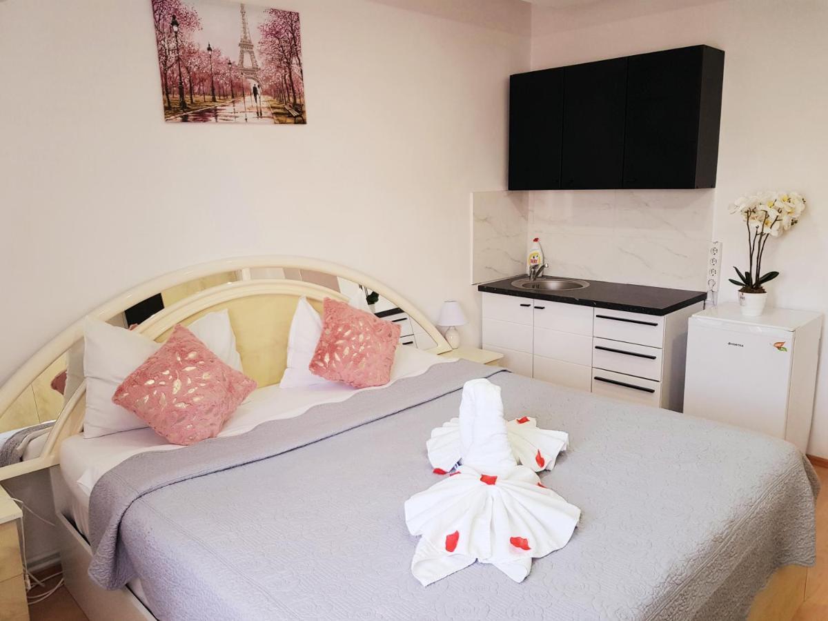 Pensiunea Red Rose Apartments Temesvár Kültér fotó