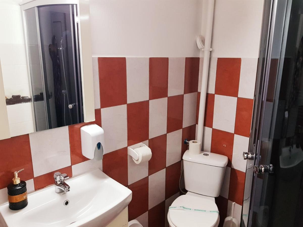 Pensiunea Red Rose Apartments Temesvár Kültér fotó