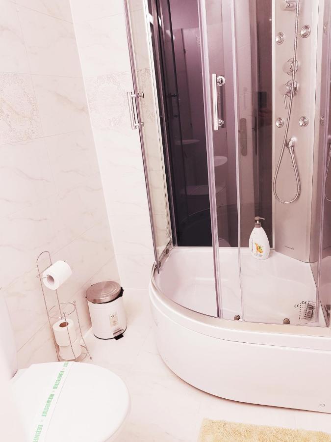 Pensiunea Red Rose Apartments Temesvár Kültér fotó
