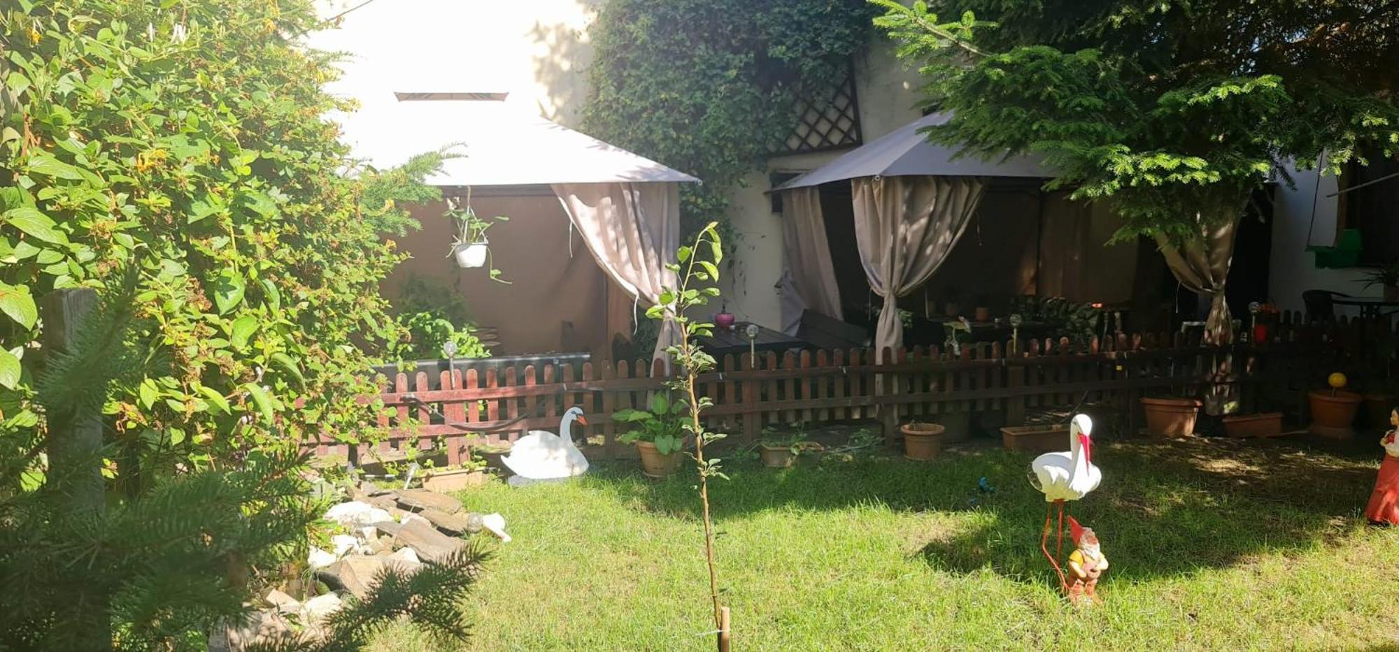 Pensiunea Red Rose Apartments Temesvár Kültér fotó