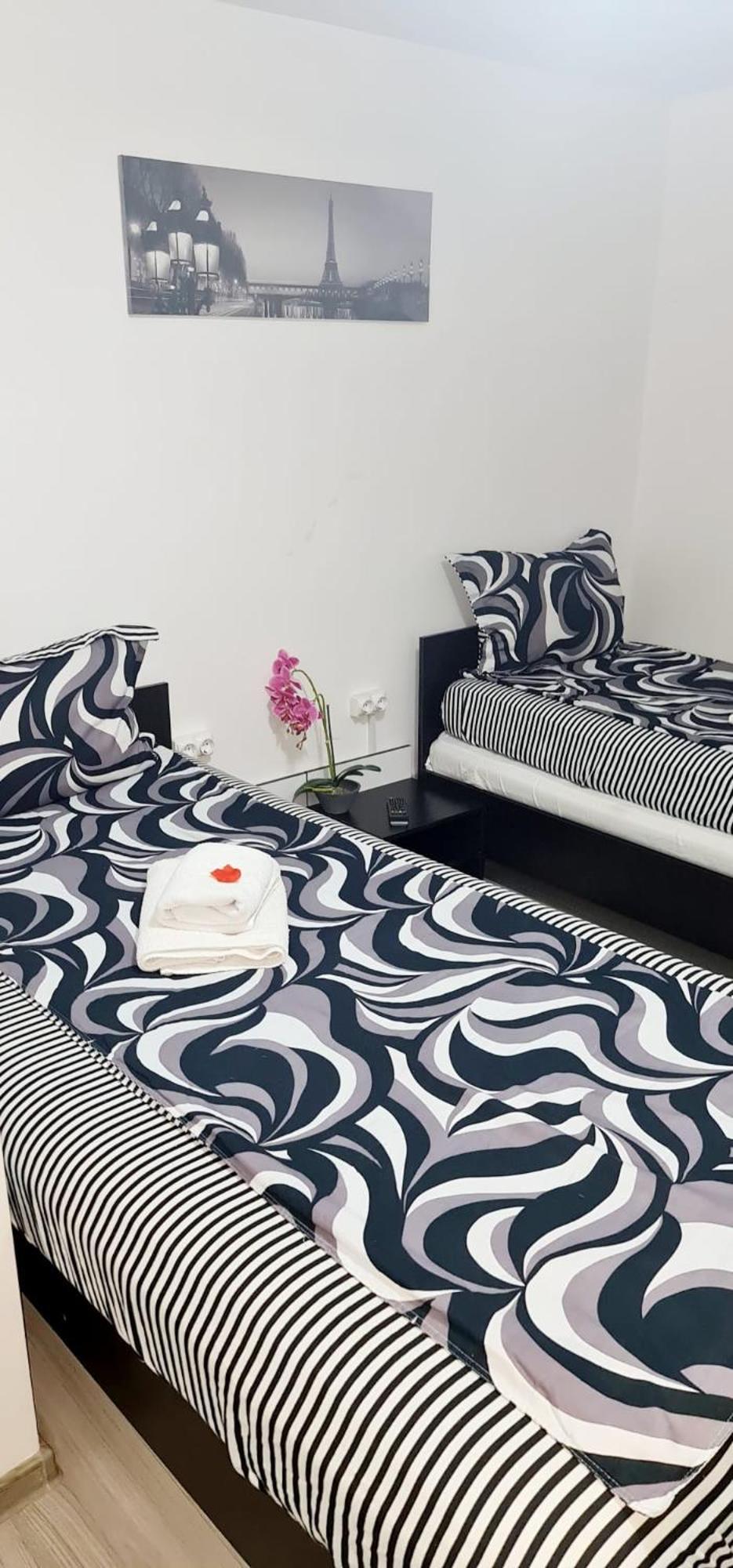 Pensiunea Red Rose Apartments Temesvár Kültér fotó