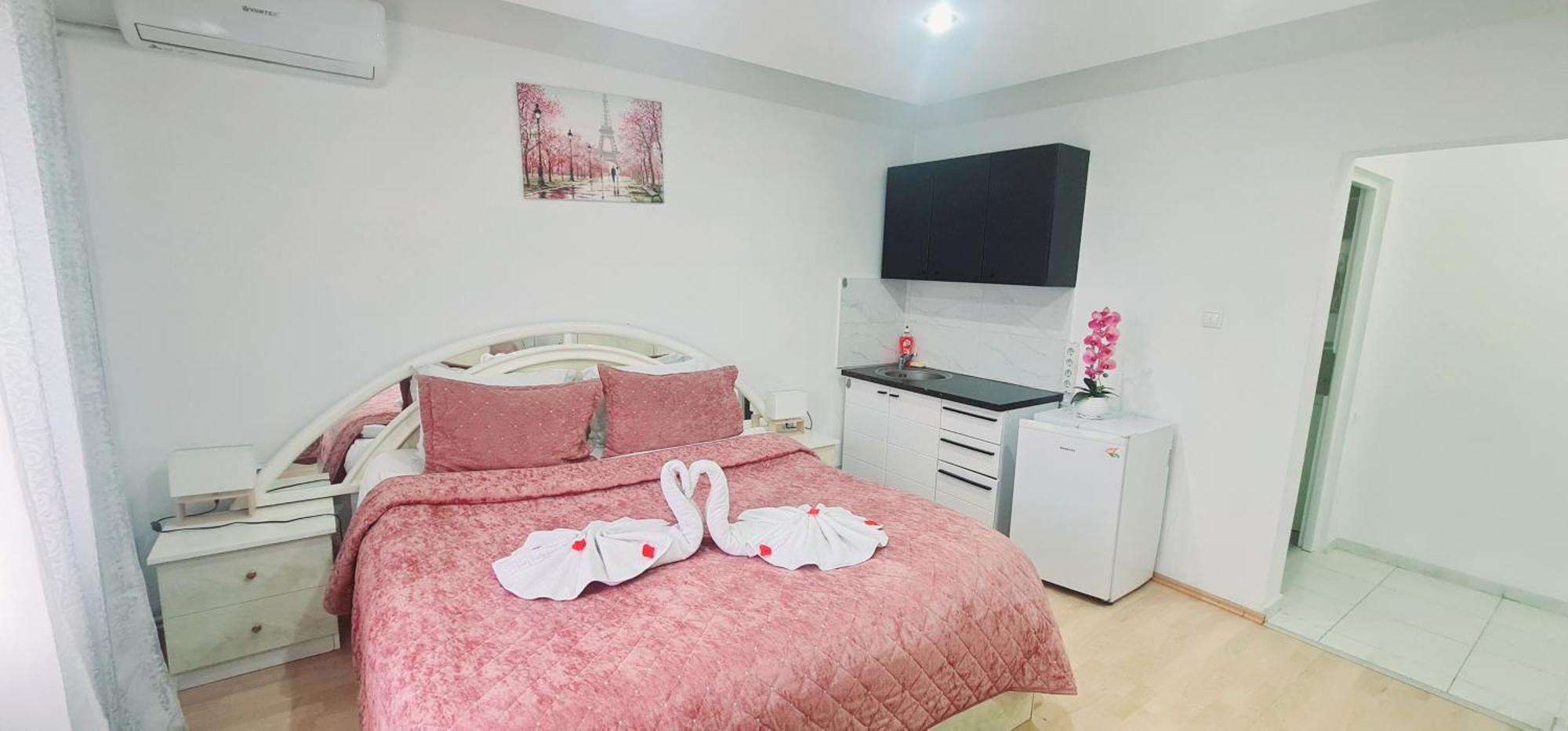Pensiunea Red Rose Apartments Temesvár Kültér fotó