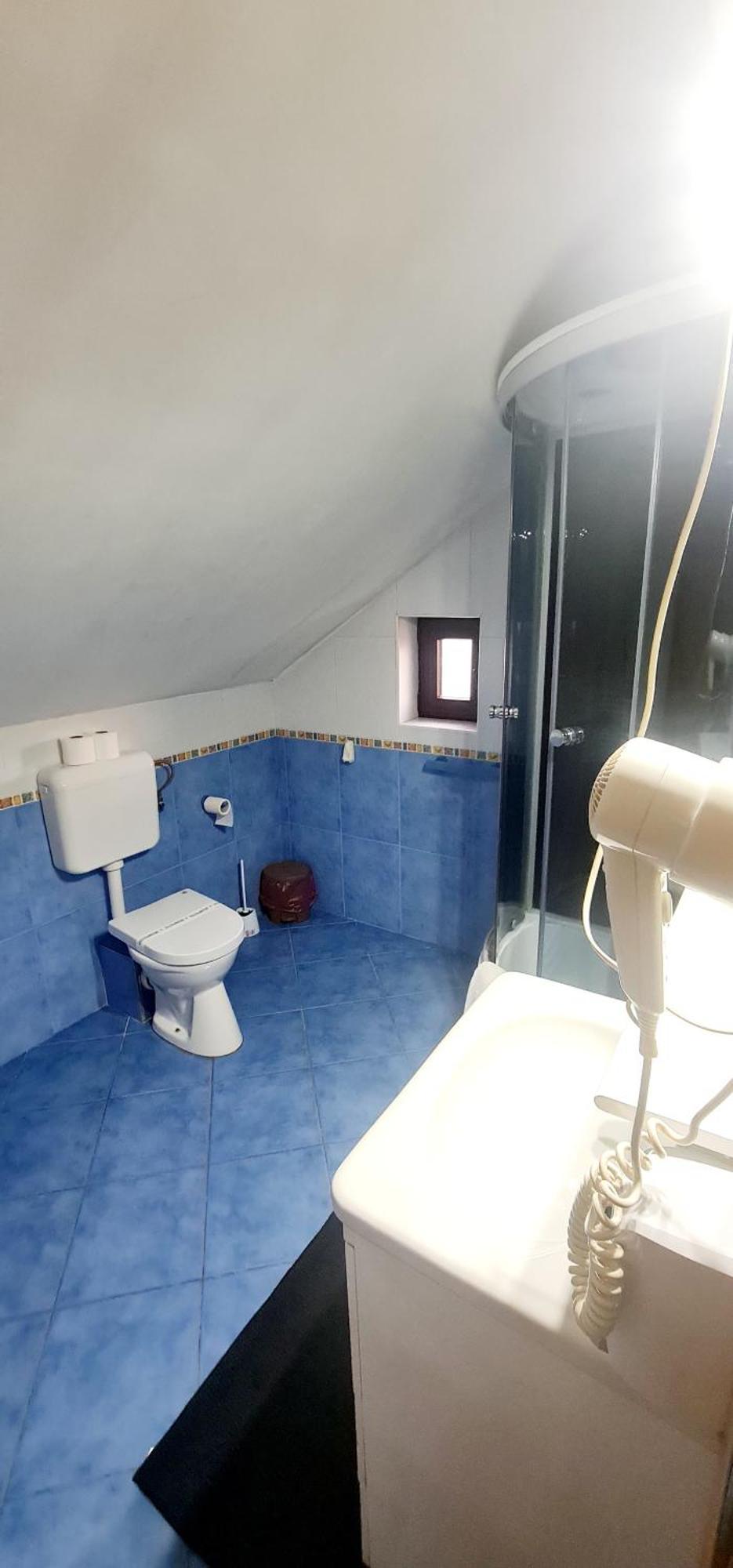 Pensiunea Red Rose Apartments Temesvár Kültér fotó